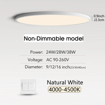 Smart LED Ceiling Lamp with Remote Control