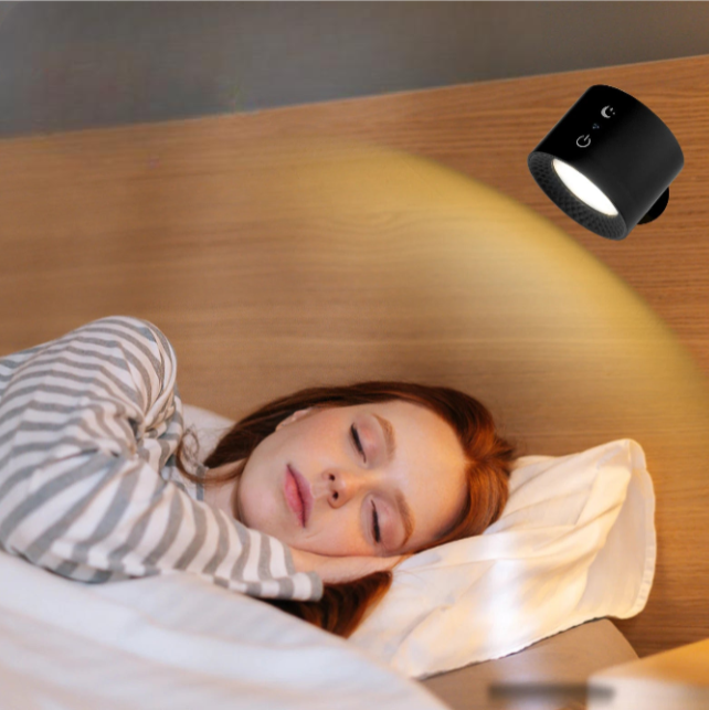 Rechargeable RGB Wall Sconce with Remote
